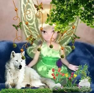 Meet your Posher, Wanda